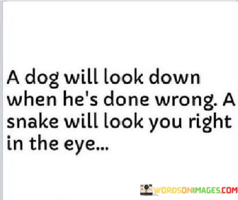A-Dog-Will-Look-Down-When-Hes-Done-Quotes.jpeg