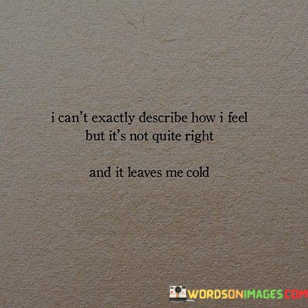 I-Cant-Exactly-Describe-How-I-Feel-But-Its-Not-Quite-Right-Quotes.jpeg