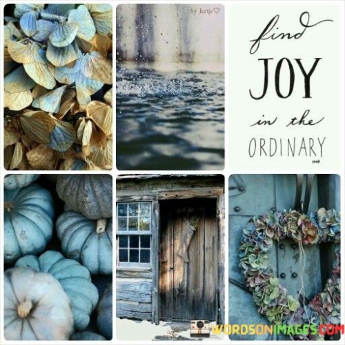 Find-Joy-In-The-Ordinary-Quotes.jpeg