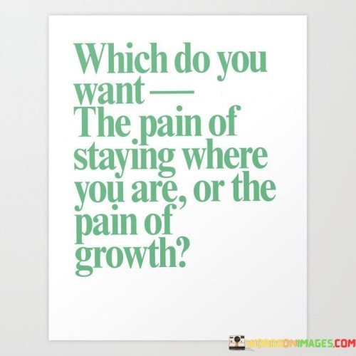 Which-Do-You-Want-The-Pain-Of-Staying-Where-You-Are-Quotes.jpeg