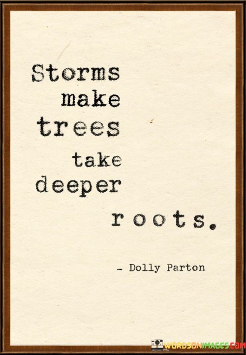 Storms-Make-Trees-Take-Deeper-Roots-Quotes.jpeg