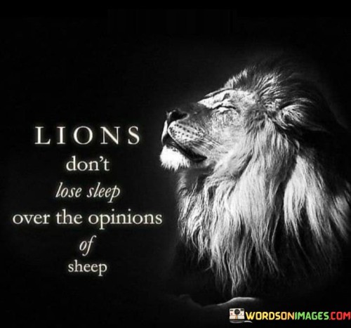 Lions-Dont-Lose-Sleep-Over-The-Opinions-Quotes.jpeg