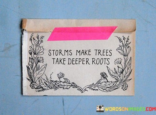 Storms-Make-Trees-Take-Deeper-Roots-Quotes.jpeg