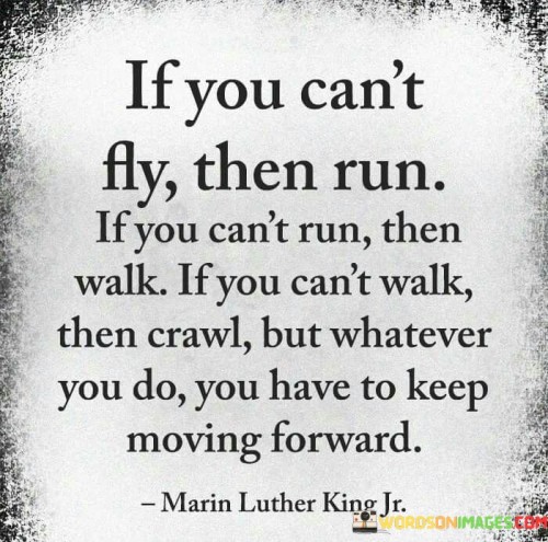If-You-Cant-Fly-Then-Run-If-You-Cant-Run-Then-Quotes.jpeg