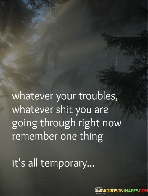 Whatever-Your-Troubles-Whatever-Shit-You-Are-Quotes.jpeg