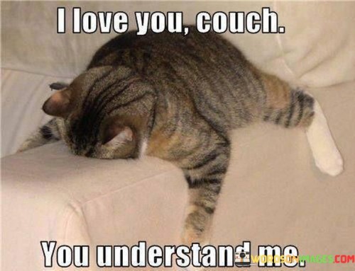 I Love Couch You Understand Me Quotes
