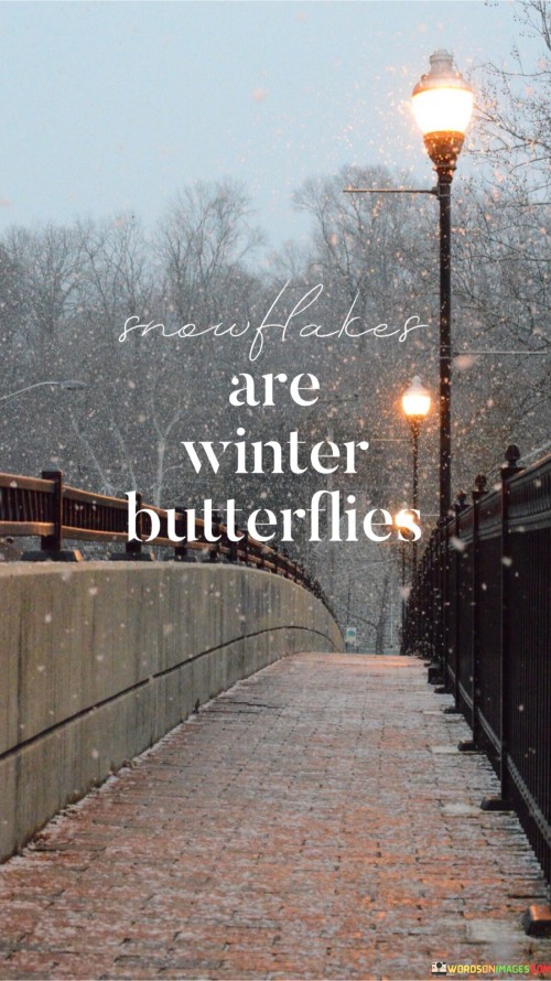 Snowflake-Are-Winter-Butterflies-Quotes.jpeg