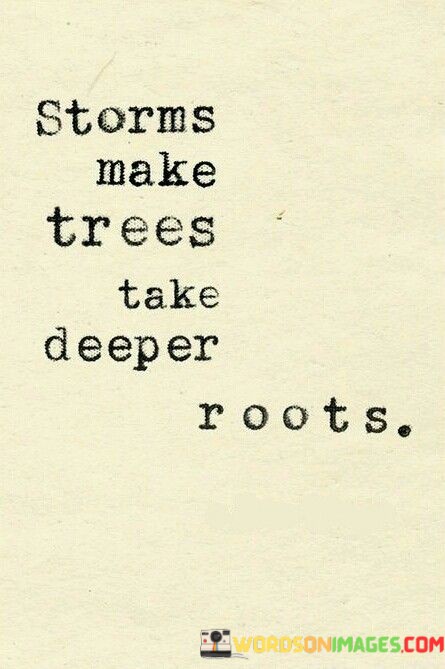 Storms-Make-Trees-Take-Deeper-Quotes.jpeg