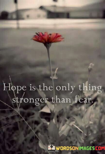 Hope-Is-The-Only-Thing-Stronger-Than-Fear-Quotes.jpeg