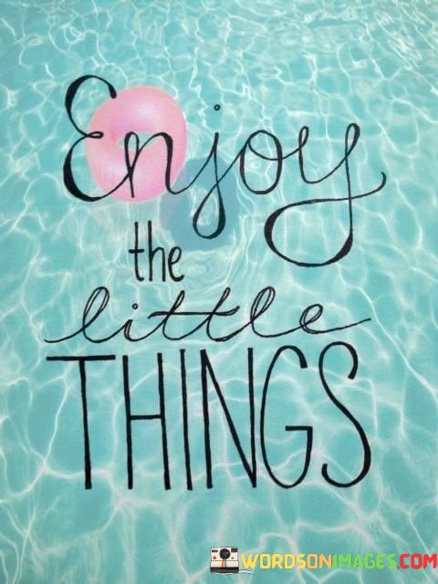 Enjoy-The-Little-Things-Quotes.jpeg