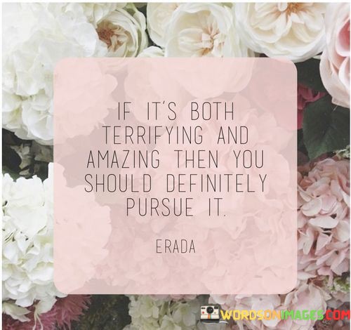 If-Its-Both-Terrifying-And-Amazing-Then-You-Should-Definitely-Pursue-It-Quotes.jpeg