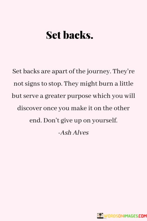 Set-Backs-Set-Backs-Are-Apart-Of-The-Journey-Theyre-Not-Signs-Quotes.jpeg
