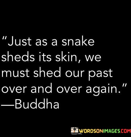 Just-As-A-Snake-Sheds-Its-Skin-We-Must-Shed-Our-Quotes.jpeg