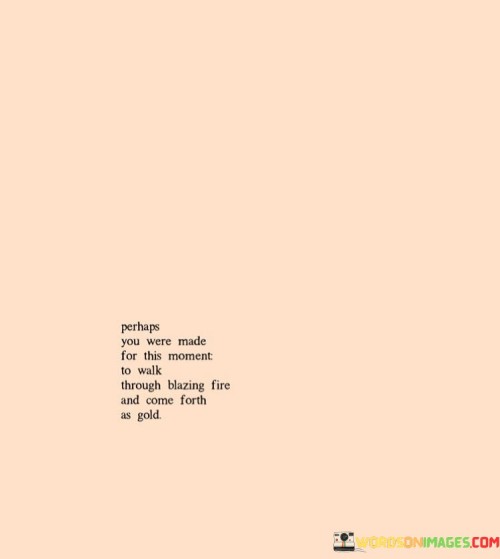 Perhaps-You-Were-Made-For-This-Moment-To-Walk-Through-Blazing-Quotes.jpeg