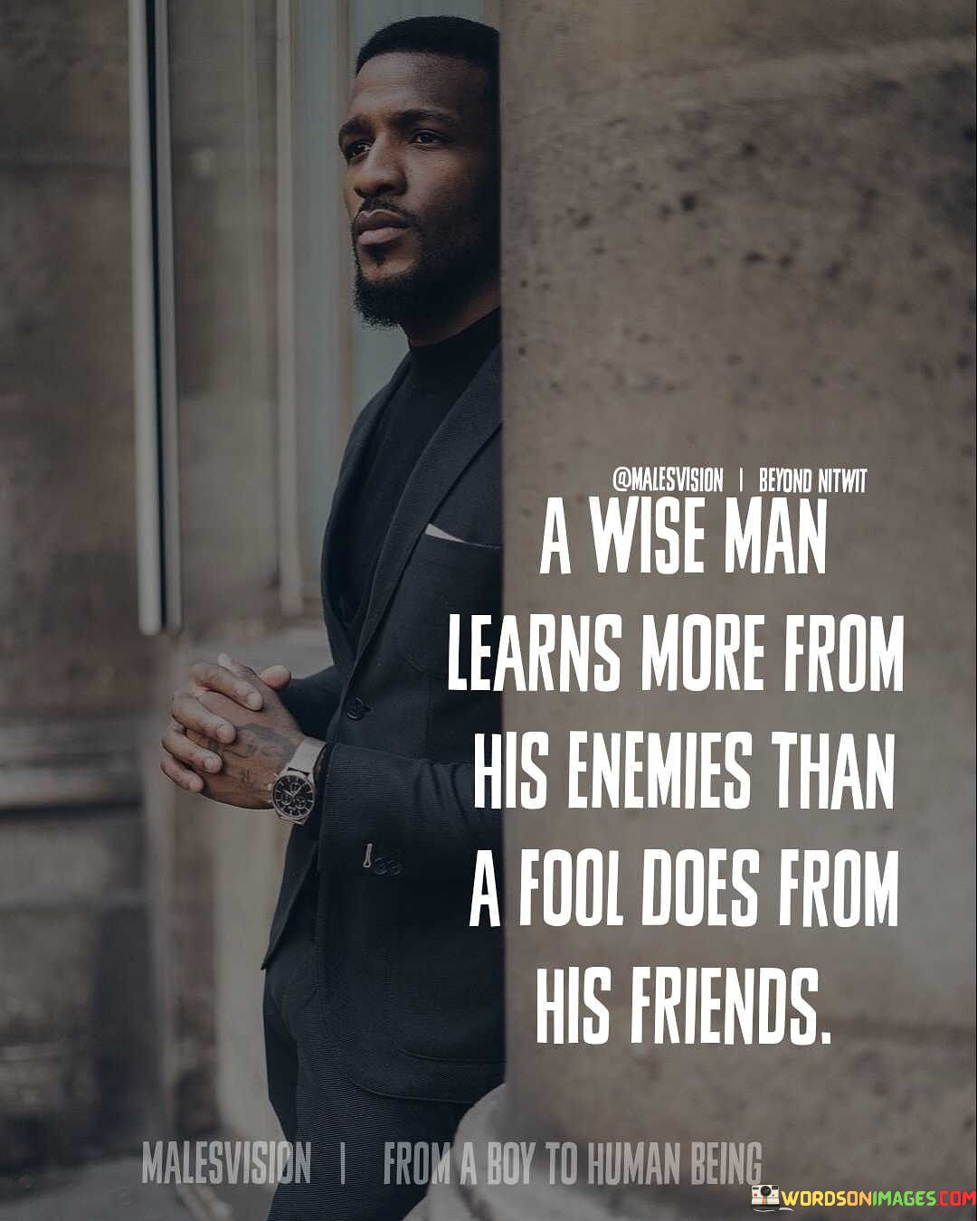 A Wise Man Learn More From His Enemies Than A Fool Does From His Friends Quotes