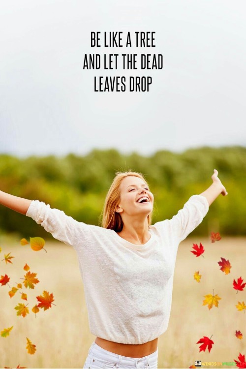 Be-Like-A-Tree-And-Let-The-Dead-Leaves-Drop-Quotes.jpeg