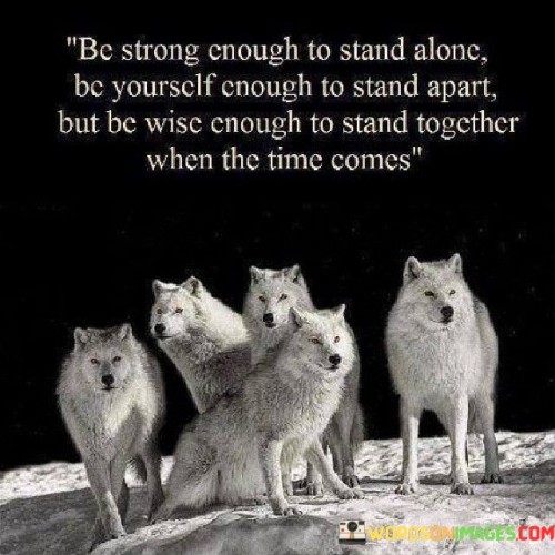 Be-Strong-Enough-To-Stand-Alone-Be-Yourself-Enough-Quotes.jpeg