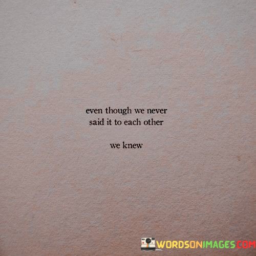 Even-Though-We-Never-Said-It-To-Each-Other-Quotes.jpeg