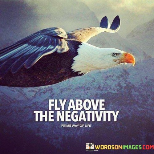 Fly-Above-The-Negativity-Quotes.jpeg