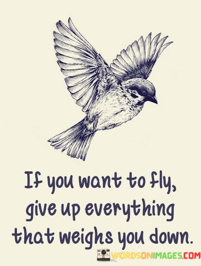 If-You-Want-To-Fly-Give-Up-Everything-That-Weighs-You-Down-Quotes.jpeg