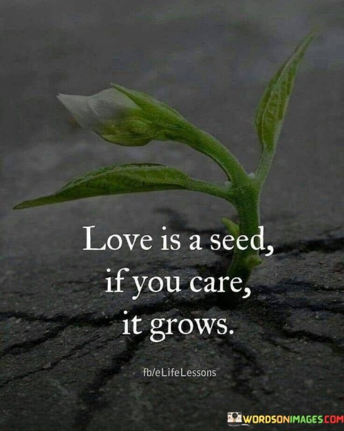 Love-Is-A-Seed-If-You-Care-It-Grows-Quotes.jpeg