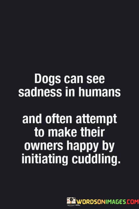 Dogs-Can-See-Sadness-In-Humans-And-Often-Attempt-Quotes.jpeg