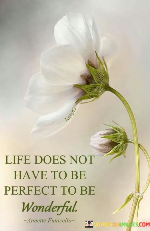 Life-Does-Not-Have-To-Be-Perfect-To-Be-Wonderful-Quotes.jpeg