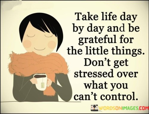 Take-Life-Day-By-Day-And-Be-Grateful-For-The-Little-Things-Quotes.jpeg