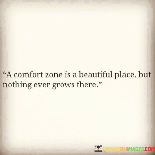 A Comfort Zone Is A Beautiful Place But Nothing Ever Quotes Quotes