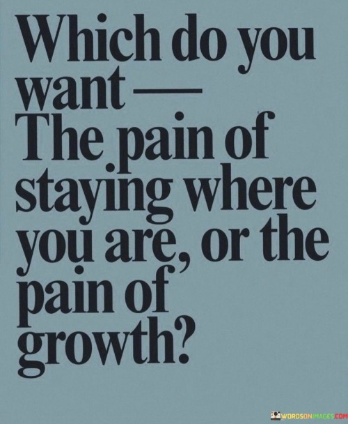 Which-Do-You-Want-The-Pain-Of-Staying-Where-You-Are-Or-Quotes.jpeg