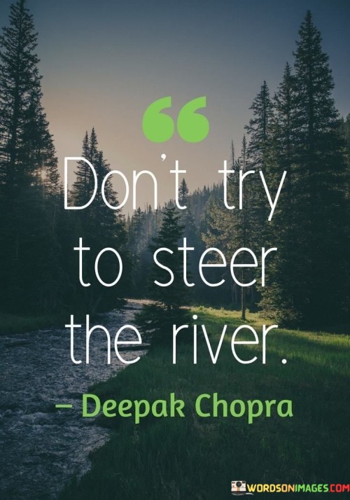 Dont-Try-To-Steer-The-River-Quotes.jpeg