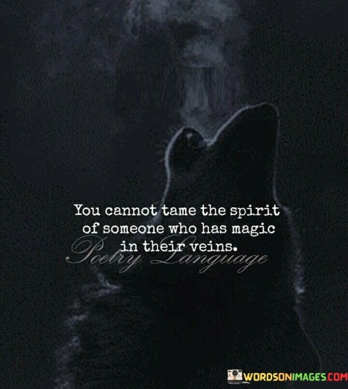 You-Cannot-Tame-The-Spirit-Of-Someone-Who-Has-Magic-In-Their-Veins-Quotes.jpeg