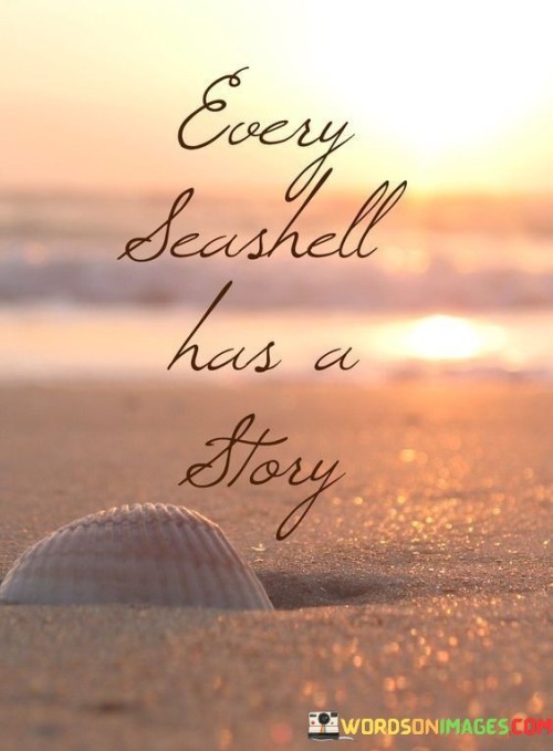 Every-Seashell-Has-A-Story-Quotes.jpeg