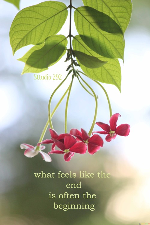 What-Feels-Like-The-End-Is-Often-The-Beginning-Quotes78d6148af7460fdc.jpeg