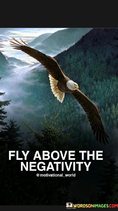 Fly-Above-The-Negativity-Quotes.jpeg