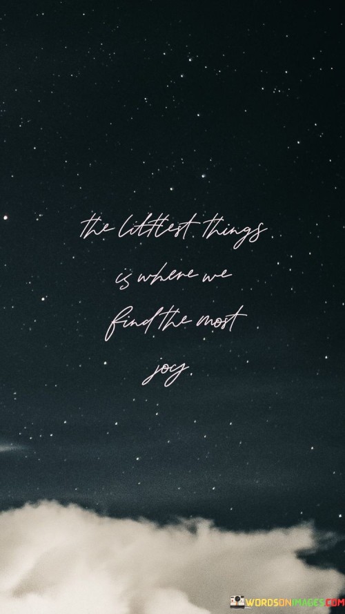 The Littlest Things Is Where We Find The Most Joy Quotes