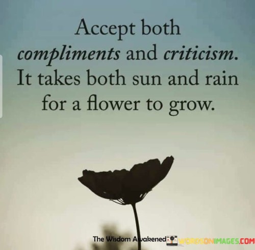Accept-Both-Compliments-And-Criticism-It-Takes-Quotes.jpeg