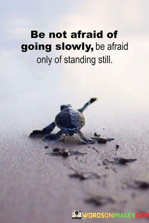 Be-Not-Afraid-Of-Going-Slowly-Be-Afraid-Only-Of-Standing-Quotes.jpeg