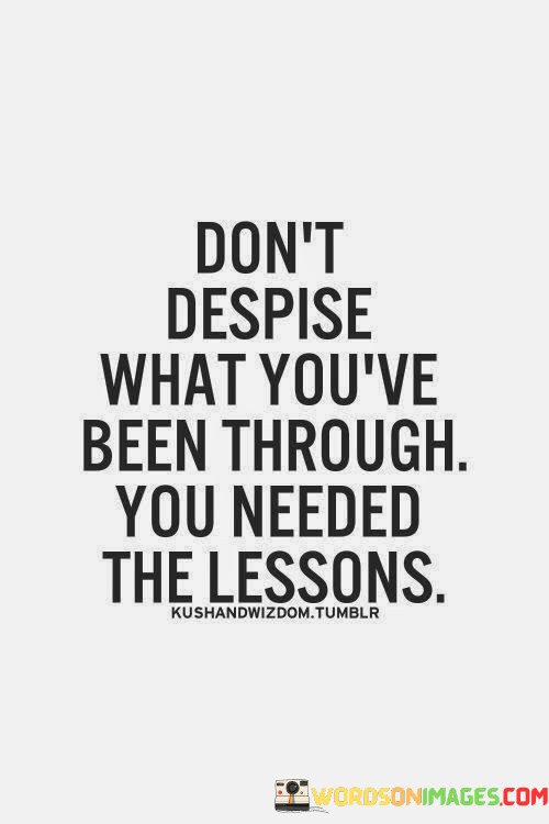 Dont-Despise-What-Youve-Been-Through-You-Needed-The-Lessons-Quotes.jpeg