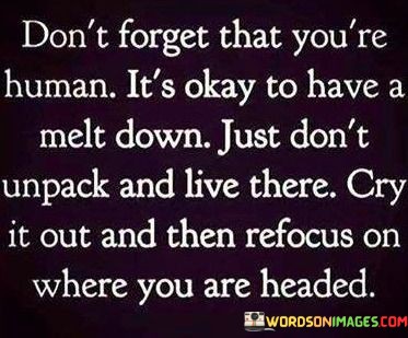 Dont-Forget-That-Youre-Human-Its-Okay-To-Have-A-Melt-Down-Quotes.jpeg
