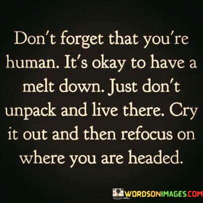 Dont-Forget-That-Youre-Human-Its-Okay-To-Have-A-Melt-Quotes.jpeg